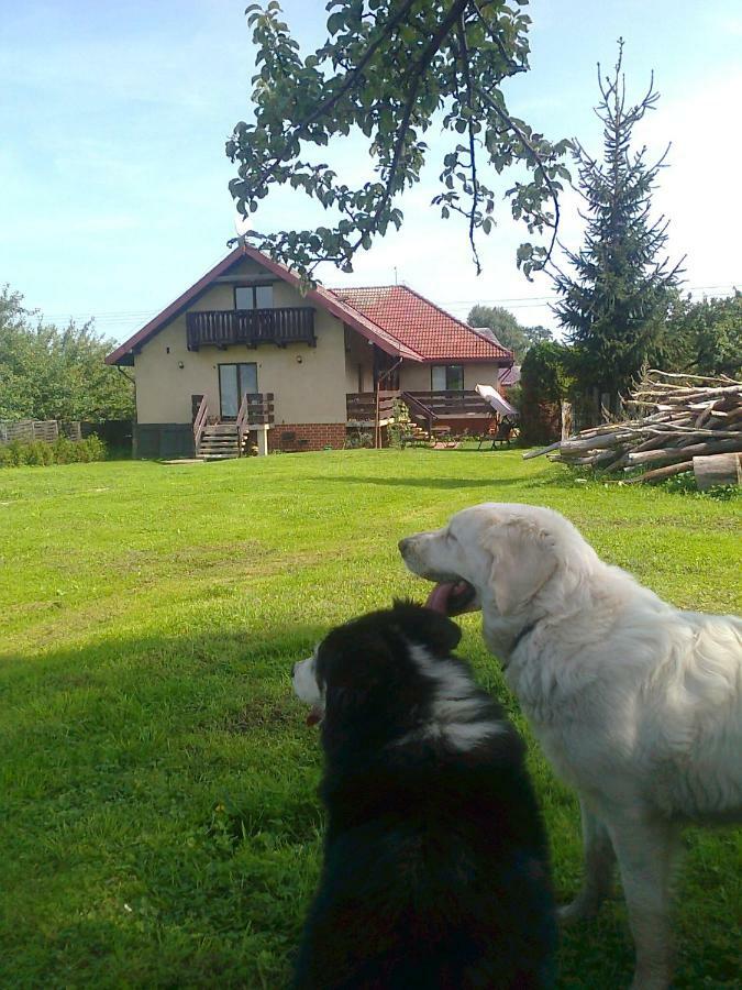 Agroturystyka Sielana Kostrzyca Esterno foto